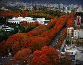 باربری مرکز تهران